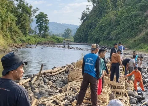 95 Hektare Sawah di Salem Brebes Andalkan Bendung Darurat
