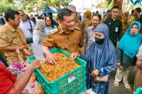 Cabai Mahal Bikin Pedagang Pusing, Ahmad Luthfi Buka Akses Pangan Murah