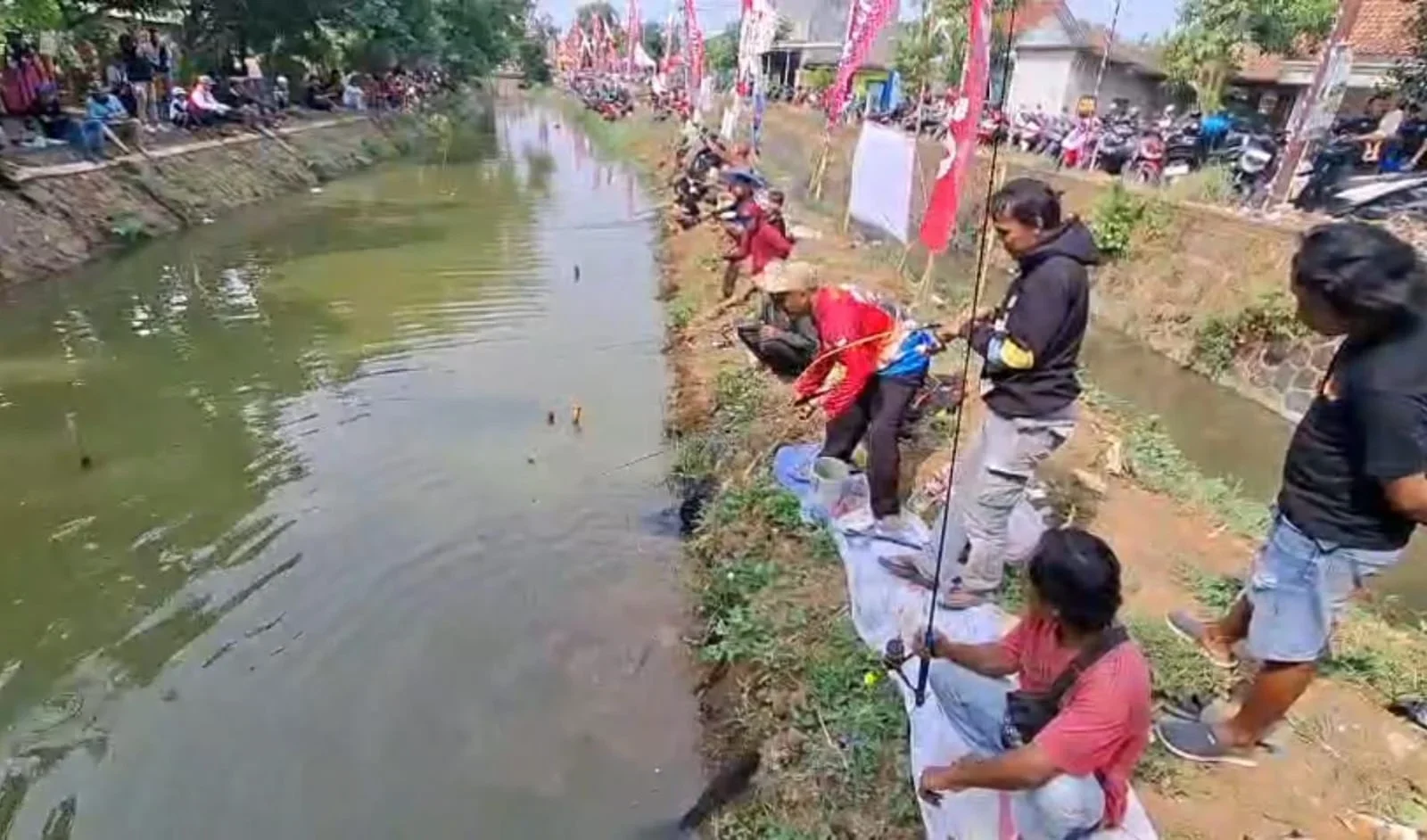 Berburu Ikan Raksasa di Sungai Aji Kendal, 1.000 Pemancing Berebut Hadiah