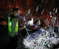 Lahan Perkebunan 2 Hektare di Bojong Pekalongan Terbakar, Polsek dan Damkar Gelar Pemadaman hingga Malam