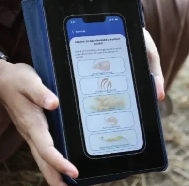 Pantau Penyakit Udang, Riset Kolaboratif KONEKSI Kembangkan Aplikasi SMARTAMBAK