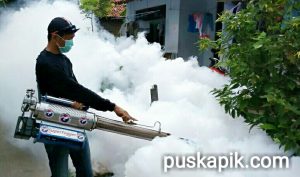 Antisipasi DB, Perindo Pemalang Fogging Rumah Warga