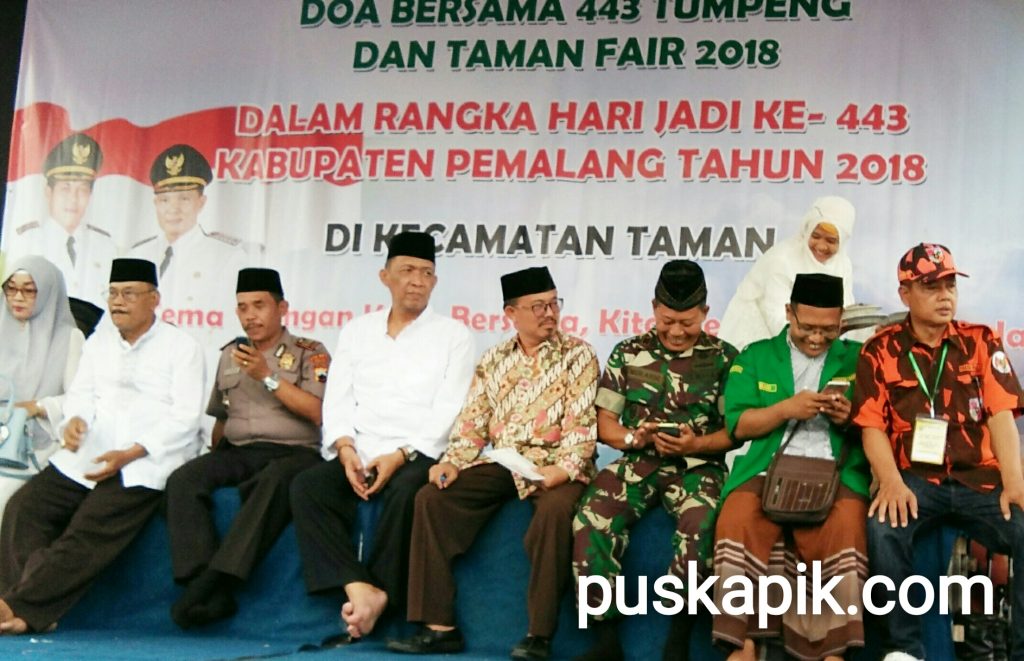 Hari Jadi Pemalang, Kecamatan taman Gelar Taman Fair