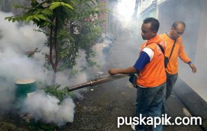 10 Kader Perindo Fogging 300 Rumah