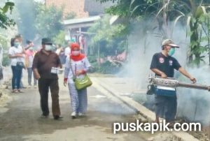 Khawatir Terjangkit DB, Perindo Fogging Dusun Kledung Taman