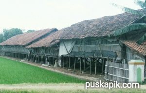 Bau Menyengat, Warga Minta Kandang Ayam Dipindah