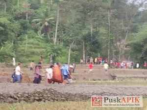 Tim Gabungan Kembali Temukan 2 Mayat Korban Banjir Bandang Belik