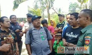 BKSDA : Foto Buaya Belum Bisa Dipertanggung jawabkan