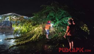 Hujan Angin Sebabkan Jalanan di Pemalang Tergenang dan Pohon Tumbang