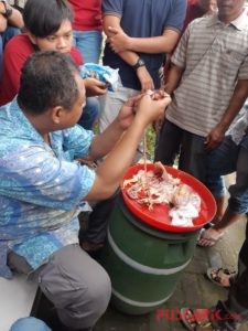 Peternak Ayam Cemas, Virus Flu Burung Kembali Mengancam