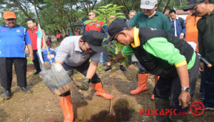 Lahan Bekas TPA Gunung Tugel Banyumas Dihijaukan