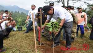 Pemkab Pekalongan Canangkan Gerakan Menanam Pohon “Sak Wong Selawe Uwit”