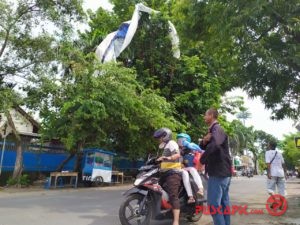 Lihat, di Tegal Ada Paramotor Nyangkut di Pohon