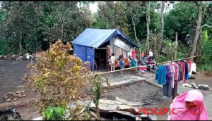 Kasihan, Korban Kebakaran di Mendelem Pemalang Tinggal di Tenda Pengungsian