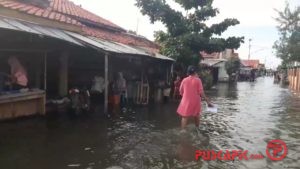 Lihat, di Brebes Ratusan Hektare Tambak Terendam Banjir Rob