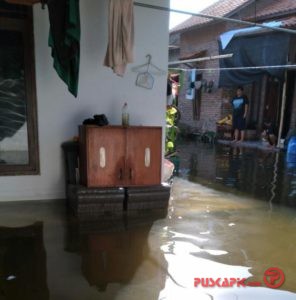 Banjir Rob Melanda, Petambak Pemalang Meradang