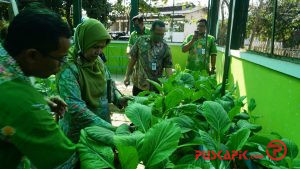 Terobosan Baru, Kota Pekalongan Miliki Laboratorium Kultur Jaringan