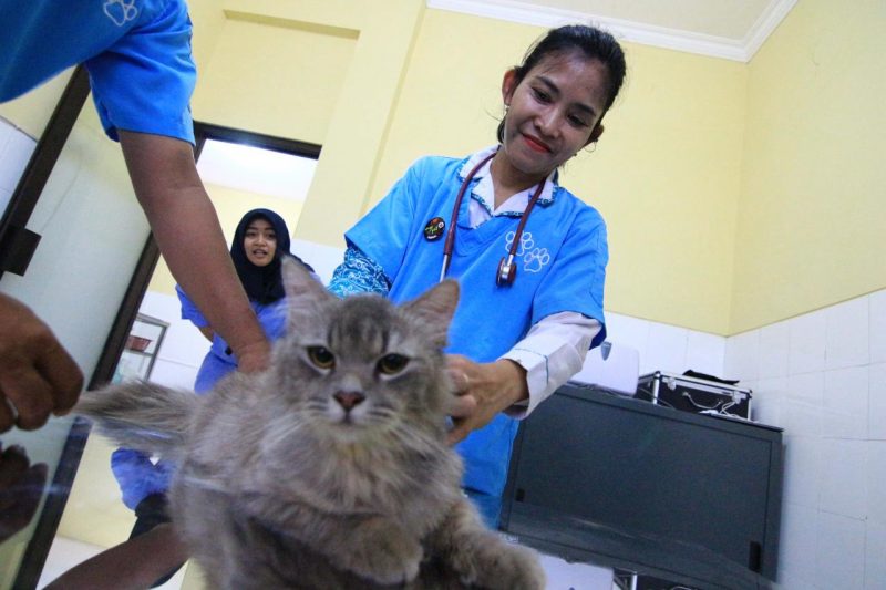 Dinperpa Pekalongan Gelar Vaksinasi Rabies Gratis