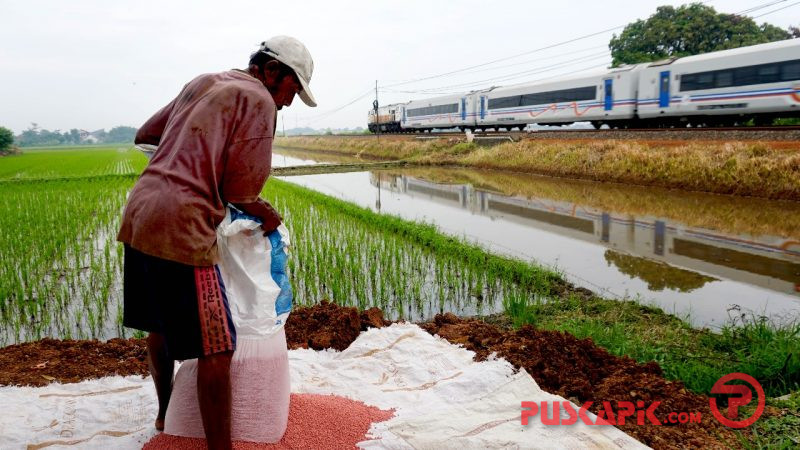 Pandemi, Ketersediaan Pangan di Pekalongan Tercukupi