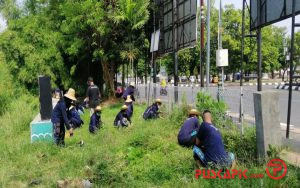 Cegah Longsor di Sempada Sungai Loji, Komunitas di Pekalongan Tanam Akar Wangi