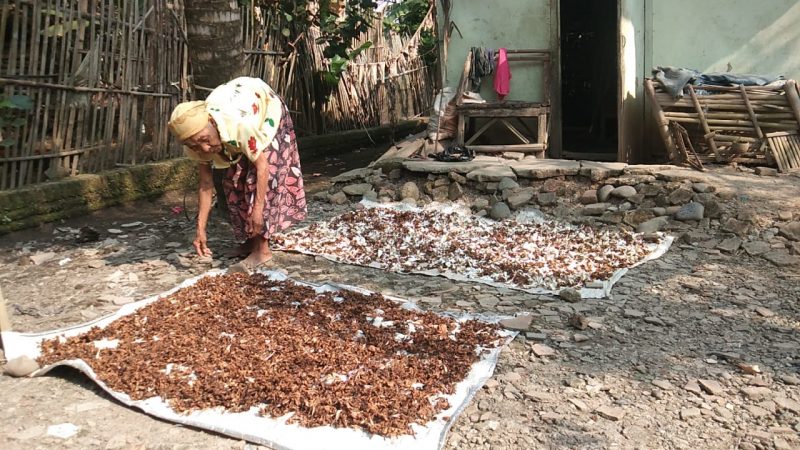 Cerita Nenek Warmi Tinggal di Rumah Nyaris Ambruk Bersama Anaknya yang Lumpuh