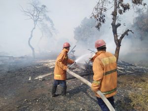 Kandang Ayam di Danasari Pemalang Ludes Terbakar, Kerugian Ditaksir Ratusan Juta