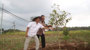 Terminal Wisata Kampung Jati Pegongsoran Pemalang Segera Terwujud