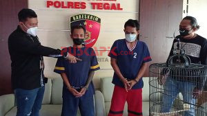 Jatanras Satreskrim Polres Tegal Bekuk Komplotan Pencuri Burung