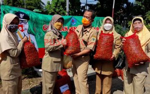 Harga Cabai di Brebes Anjlok, Bupati Kerahkan ASN Borong Hasil Panen Petani