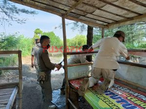 Bongkar Sekat Gazebo Pantai Cemoro Songo, Satpol PP Pemalang Pergoki Banyak Remaja Pacaran