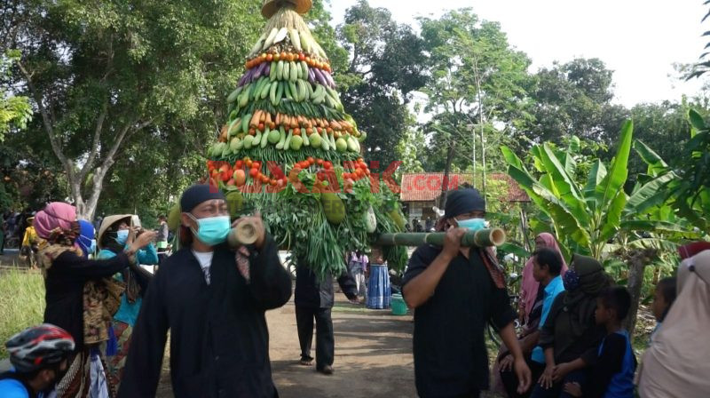 Sedekah Bumi Desa Penggarit Pemalang, Ekspos Budaya Lokal