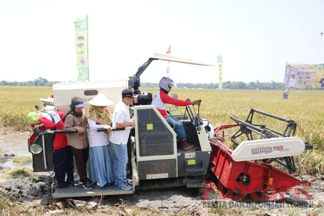 Pemalang Ikut Andil Panen Padi Nusantara Satu Juta Hektare