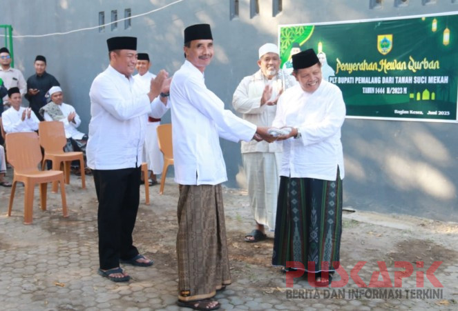 Bupati Pemalang Serahkan Sapi Kurban ke 15 Masjid