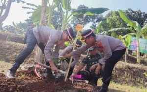 Sambut Hari Bhayangkara ke-78, Polres Pemalang Tanam Ratusan Bibit Pohon