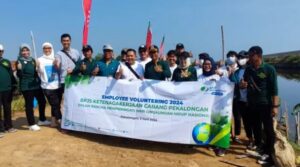 Go Green, Kawasan Tanggul Raksasa Kota Pekalongan Ditanami Bibit Mangrove