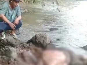 Hanyut di Sungai Mejagong, Jenazah Warga Belik Ditemukan di Bantarbolang