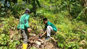 Penanaman Pohon untuk Kelestarian Alam dan Menjaga Sumber Mata Air 