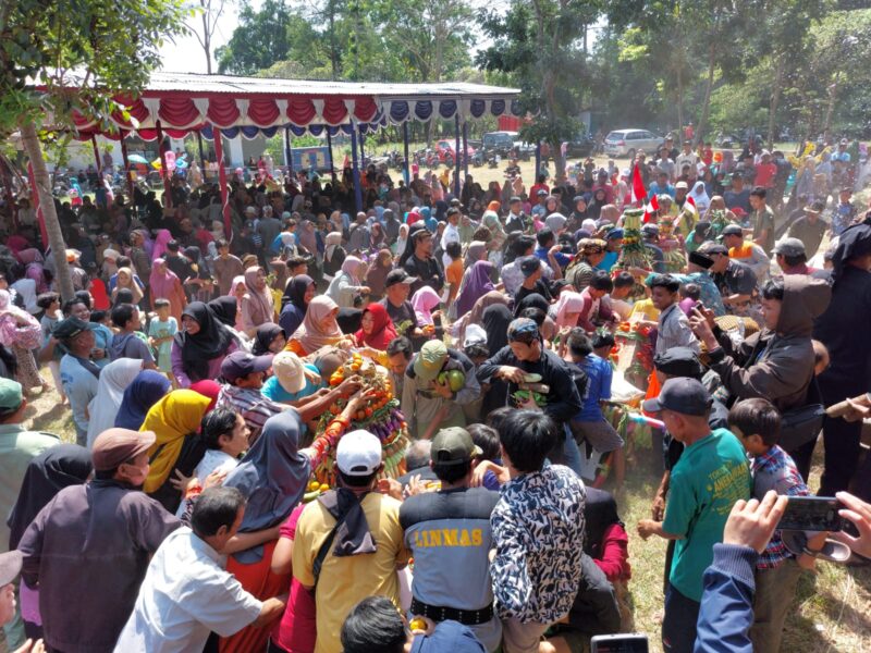 Lihat, Begini Ramainya Berebut Gunungan Sedekah Bumi di Surajaya Pemalang