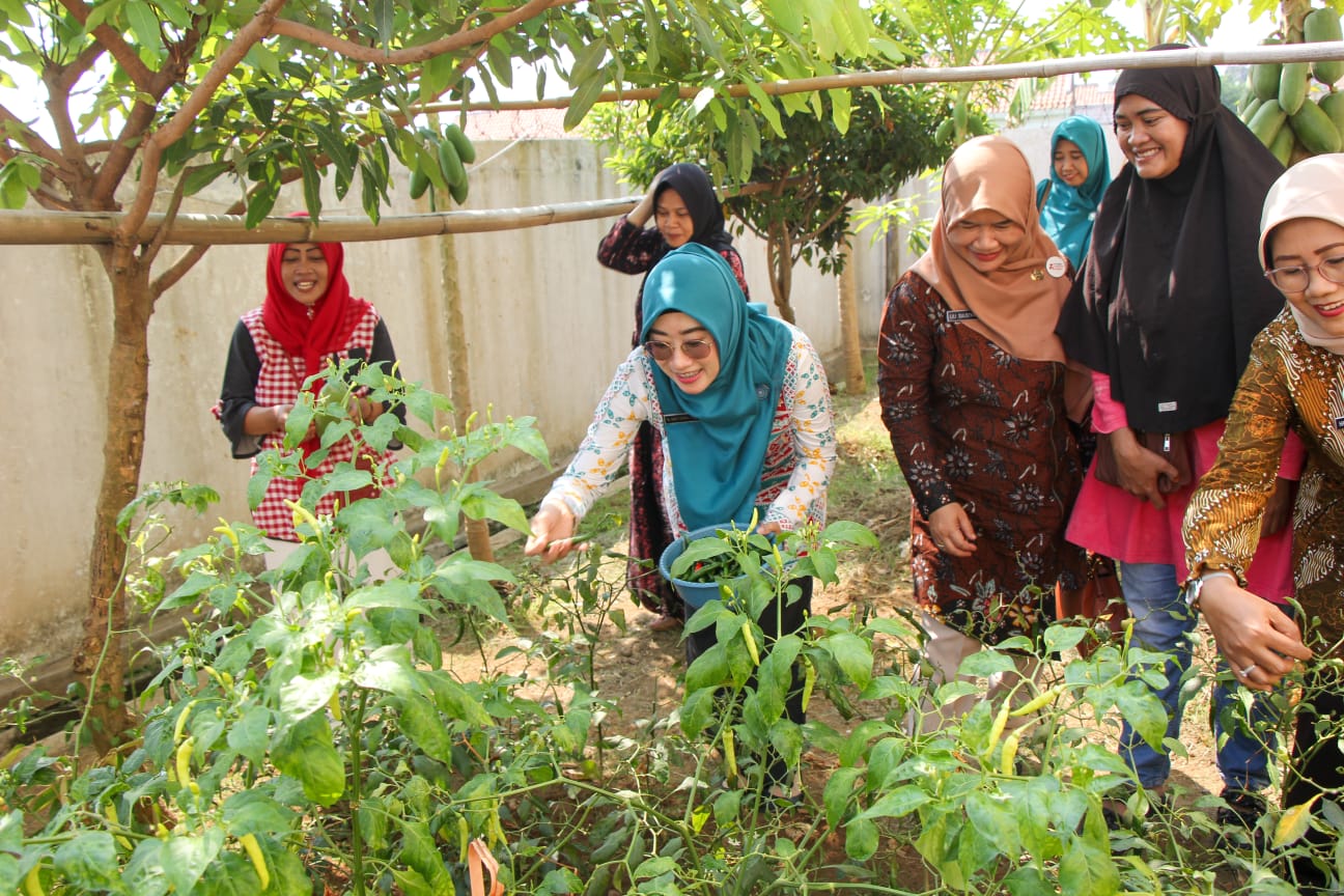 Cegah Stunting, Dinperpa Ajak Ibu-Ibu Manfaatkan Pekarangan Rumah Jadi Lahan Produktif
