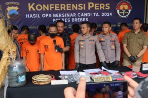 Polres Brebes Bongkar Budidaya Tanam Ganja di Atap Rumah