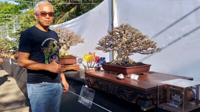 The Art of Bumi Bagelan Bangkitkan Bonsai di Purworejo