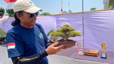 Pameran Bonsai di Batang Ditawar Seharga Mobil dan Rumah