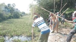 Padat Karya, Pemkot Libatkan Warga Sekitar Tangani Enceng Gondok di Aliran Sungai