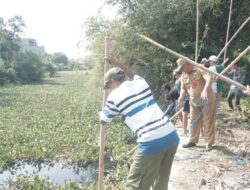 Padat Karya, Pemkot Libatkan Warga Sekitar Tangani Enceng Gondok di Aliran Sungai