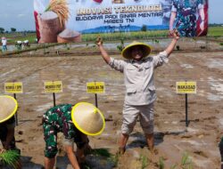 Mentan Sebut Hasil Panen Padi Sinar Mentari TNI Tandingi Negara Maju