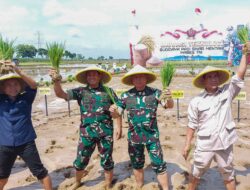 Panglima TNI Tanam Padi Sinar Mentari Bareng Mentan di Pemalang