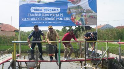 Dukung Pemberdayaan Masyarakat, Kemitraan dan Pokja PI Kandang Panjang Panen Ikan Nila di Lahan Eks Rob