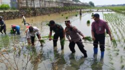 Dukung Asta Cita, Lahan Produktif di Batang Dioptimalkan