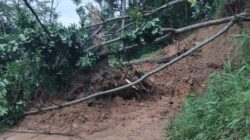 Longsor di Kandangserang Tutup Akses Jalan Karanggondang Menuju ke Bodas dan Klesem