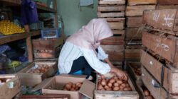 Jelang Ramadhan, Harga Telur di Pemalang Masih Tinggi